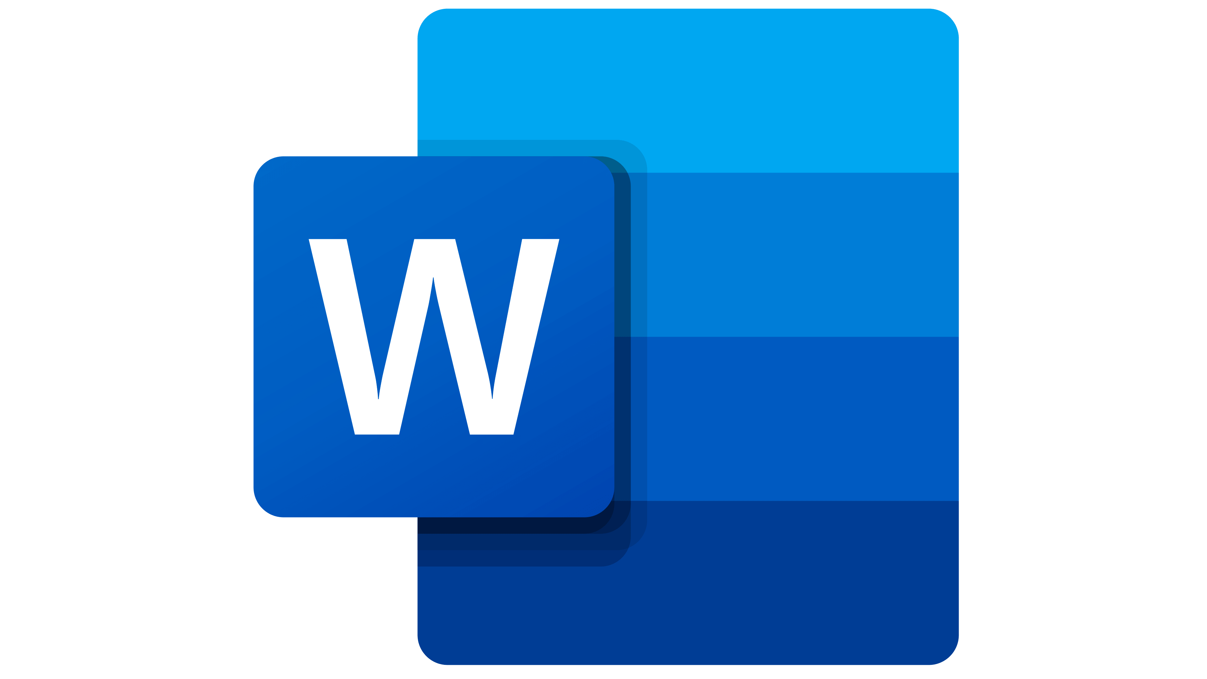 Microsoft Word